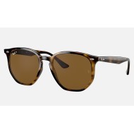 RB4306
Lenses: Polarized Brown Classic B-15  +  Frame: Light Tortoise
