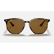 RB4306
Lenses: Polarized Brown Classic B-15  +  Frame: Light Tortoise