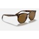 RB4306
Lenses: Polarized Brown Classic B-15  +  Frame: Light Tortoise