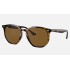RB4306
Lenses: Polarized Brown Classic B-15  +  Frame: Light Tortoise