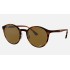 RB4336CH CHROMANCE
Lenses: Polarized Brown Classic  +  Frame: Striped Red Havana