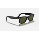 WAYFARER EASE
Lenses: Polarized Green Classic G-15  +  Frame: Black