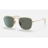 FRANK TITANIUM
Lenses: Polarized Green Classic  +  Frame: Gold