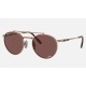 ROUND II TITANIUM
Lenses: Polarized Dark Violet Chromance Classic  +  Frame: Rose Gold